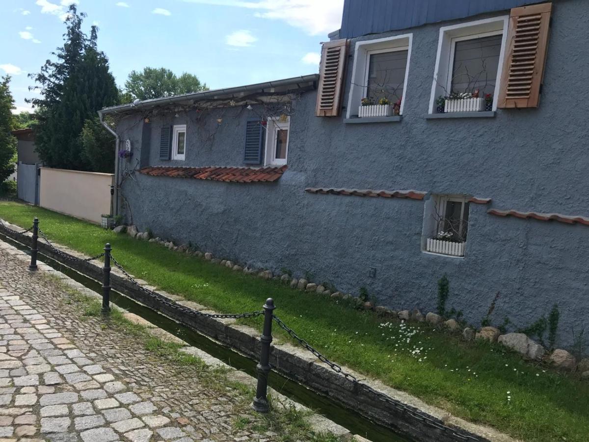Villa Windschief Thale Exterior photo